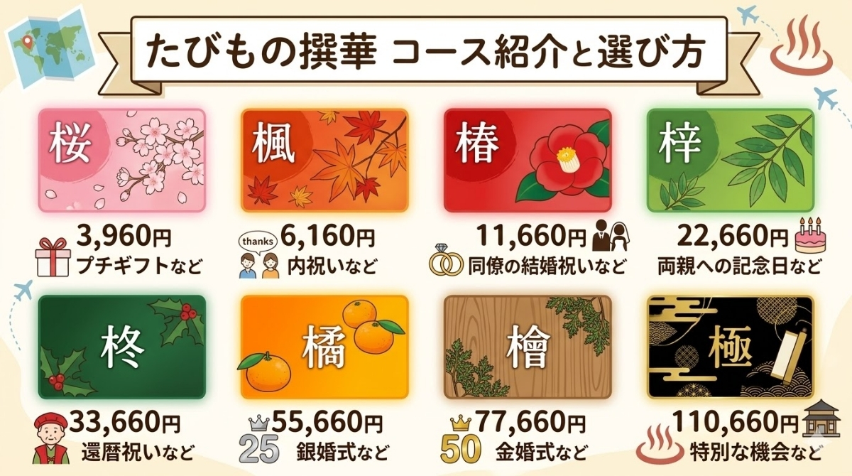 各コースの紹介と選び方の解説